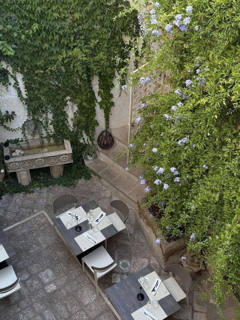 Nataliia Koval_Il MIGNANO Germogli_Nardò_recensione