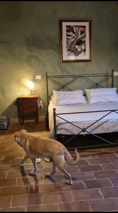 Agriturismo Il Covo del Solengo_Valtopina_slider_image_2