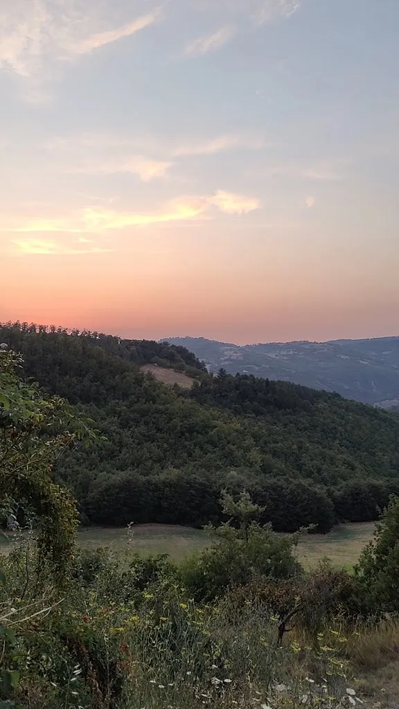 Studio Marco Ladisa_Agriturismo La Terrazza - Emotional Spa_Valfabbrica_review