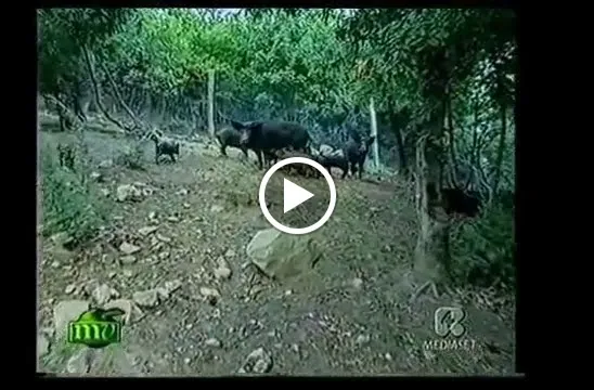 Agriturismo La Terrazza - Emotional Spa_Valfabbrica_slider_image_2