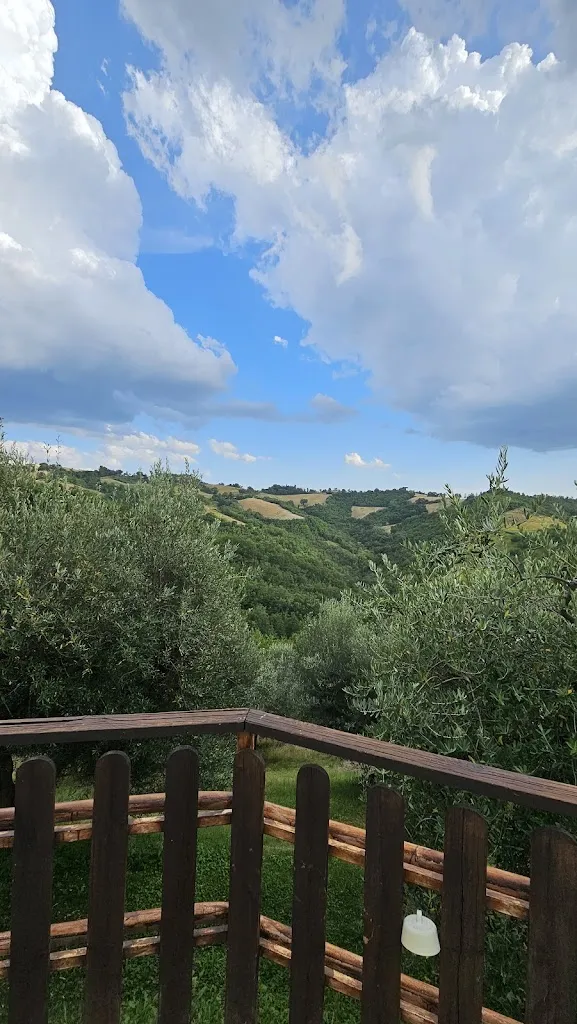 Masoud Mehrabi_Agriturismo le Dolci Colline_Valfabbrica_review