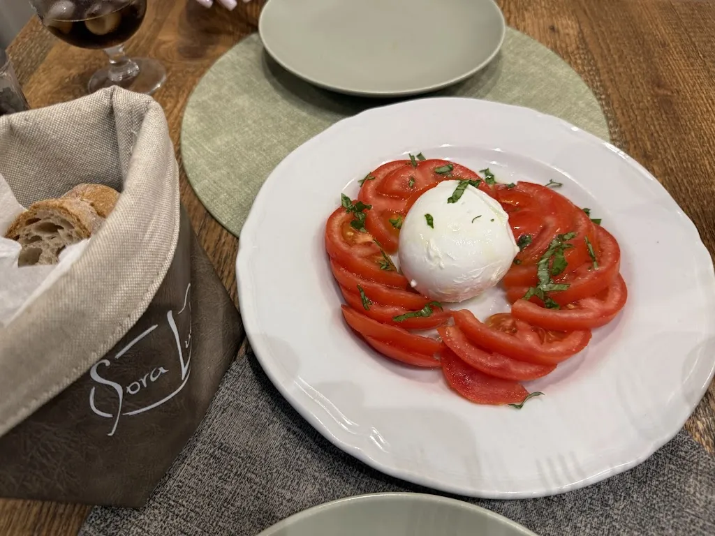 Luke Boyer_Sora Lucia_Trevi_review