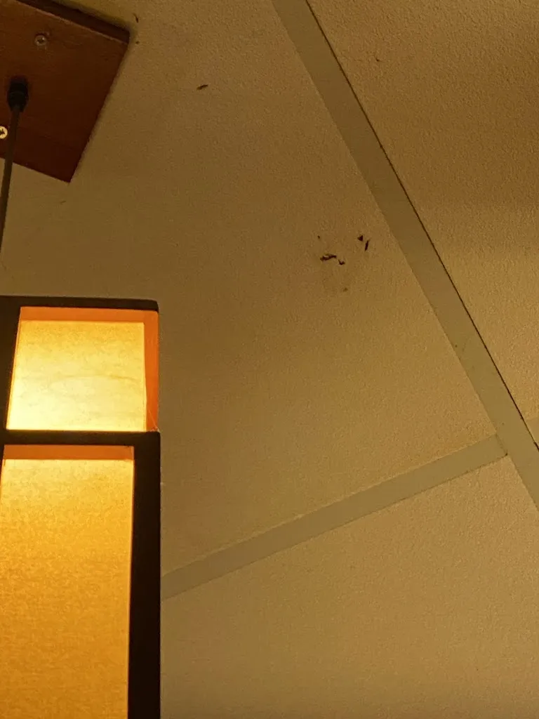 Lara Bellettato_Ristorante Kiyomi_Adria_review