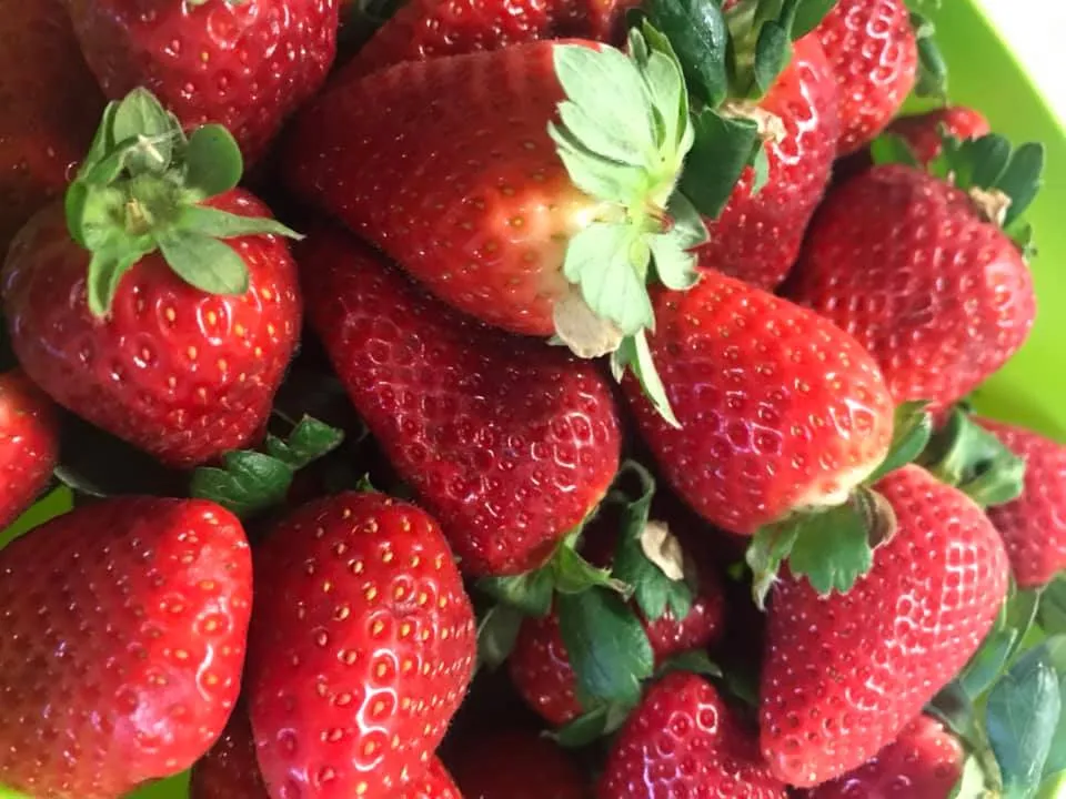 Ristorante Alloggio Cà Scirocco_Adria_slider_image_3