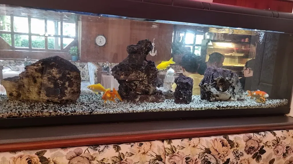 TOMAS AGUGLIARI_Rudy_Adria_review