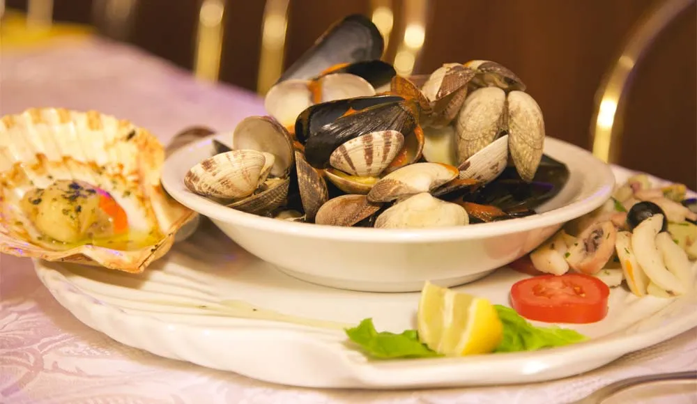 Rudy_Adria_slider_image_2