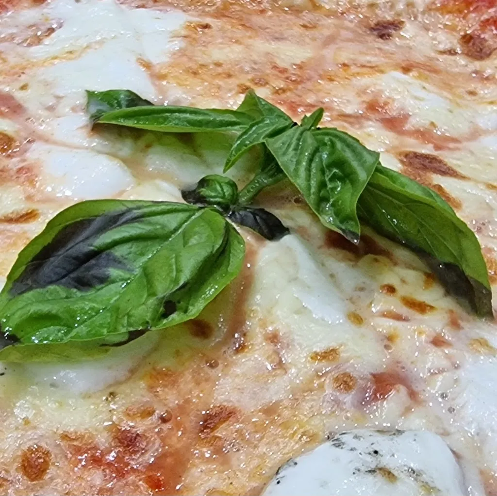 Menu_Pizze & Delizie_Nardò_image_8