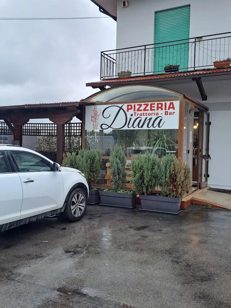 Marco Malpensa_Ristorante Pizzeria Diana_Alonte_review
