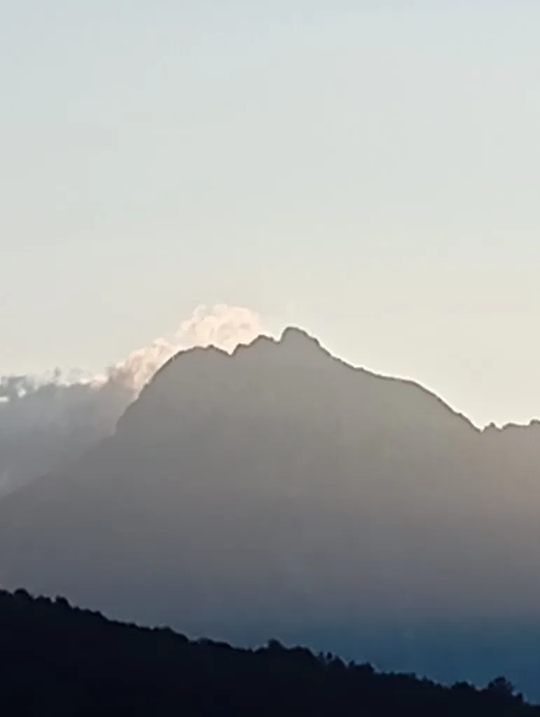 Luca Asta_La Via del Parco_Arsita_review