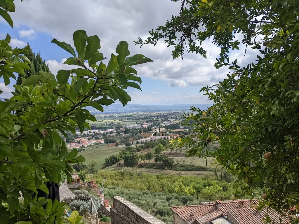 Andrea Alberti_Giardini del Vicario Caffè Sas di Papini Debora e C._Angiari_review