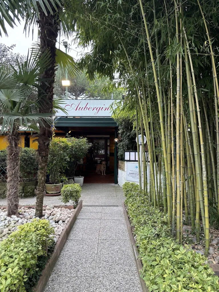 Vivien Mao_Ristorante Aubergine_Abano Terme_review