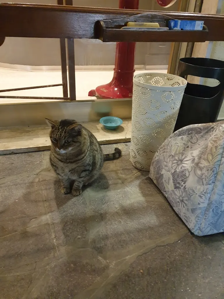 Bojana Momirov_Pepe Rosa_Abano Terme_review