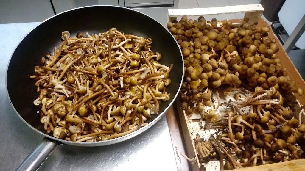 Menu_De Gustibus_Abano Terme_image_9