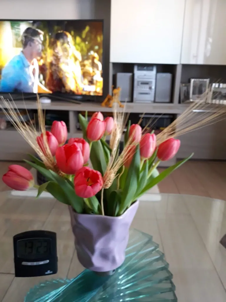 Maddy Dellavalle_Ristorante Pizzeria La Staffa_Arcole_review