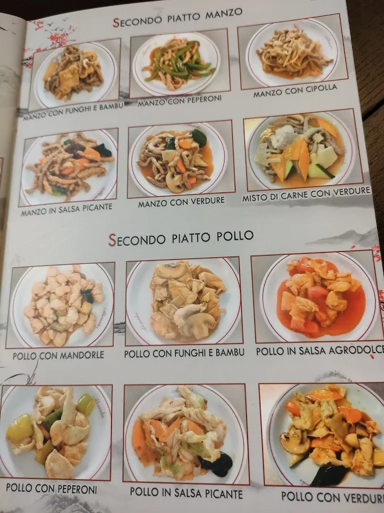 Menu_Sushi grill_Altavilla Vicentina_image_4