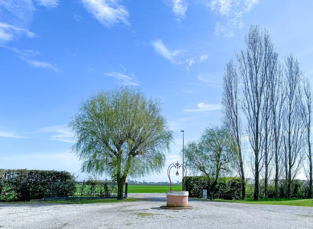 Ferdinando Pratico'_Corte Bariani_Arquà Polesine_review