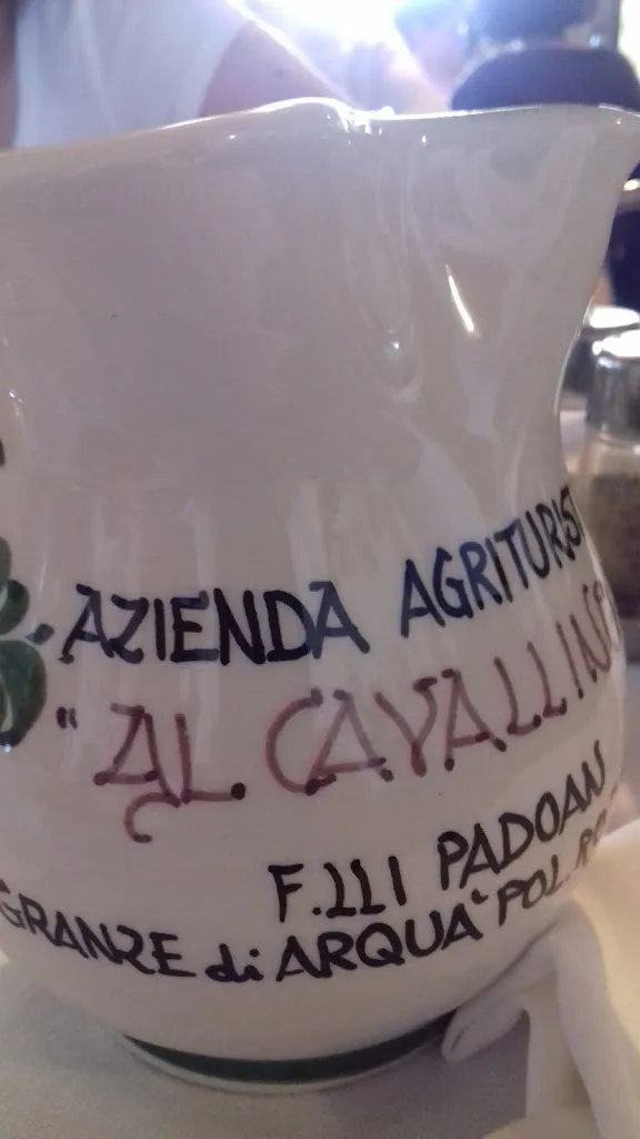 Enzo Depalo_Agriturismo Il Cavallino_Arquà Polesine_review