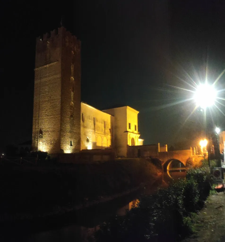 Aldo Nicolini_Pizzeria Al Taglio Cook_Arquà Polesine_review