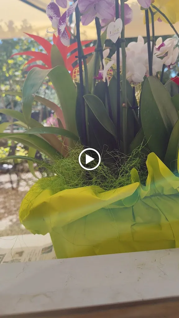 Trattoria Sottocastel - Dal Nene_Arbizzano-Santa Maria_slider_image_2