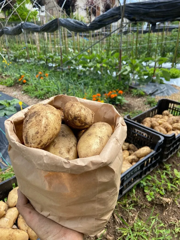 Menu_La primitiva_Arbizzano-Santa Maria_image_7