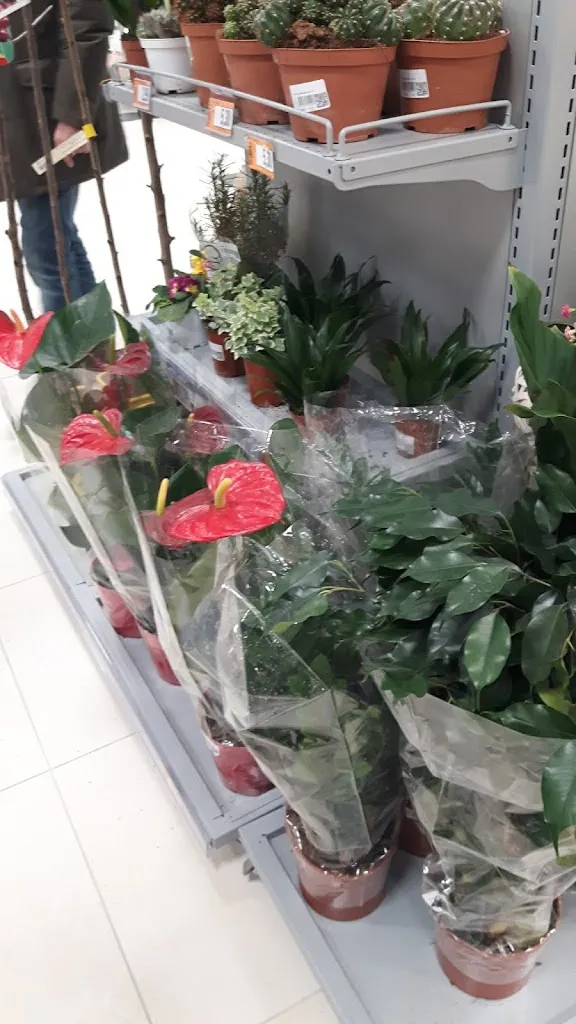 Il Kiosko_Orta Nova_slider_image_3