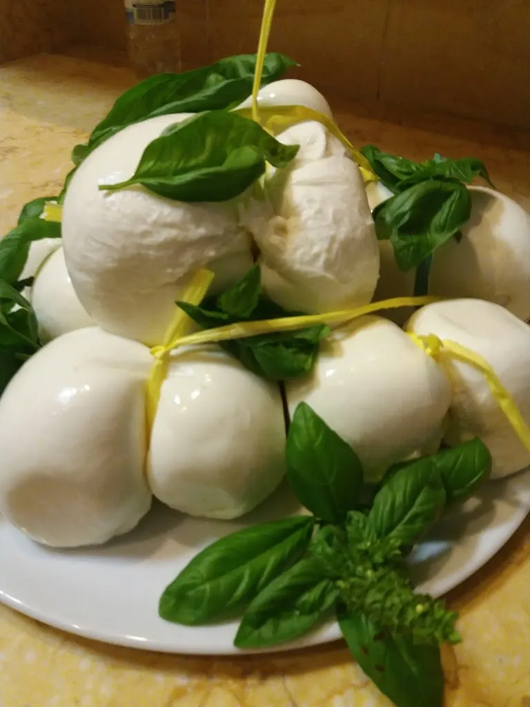 Menu_La Sfinge_Orta Nova_image_5