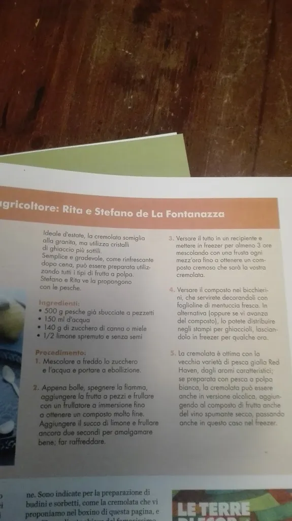 Menü_Trattoria Da Leone_Arzergrande_Bild_2