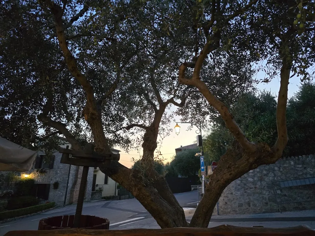 Alberto R._Bar Bruschetteria Ventolone_Arquà Petrarca_review