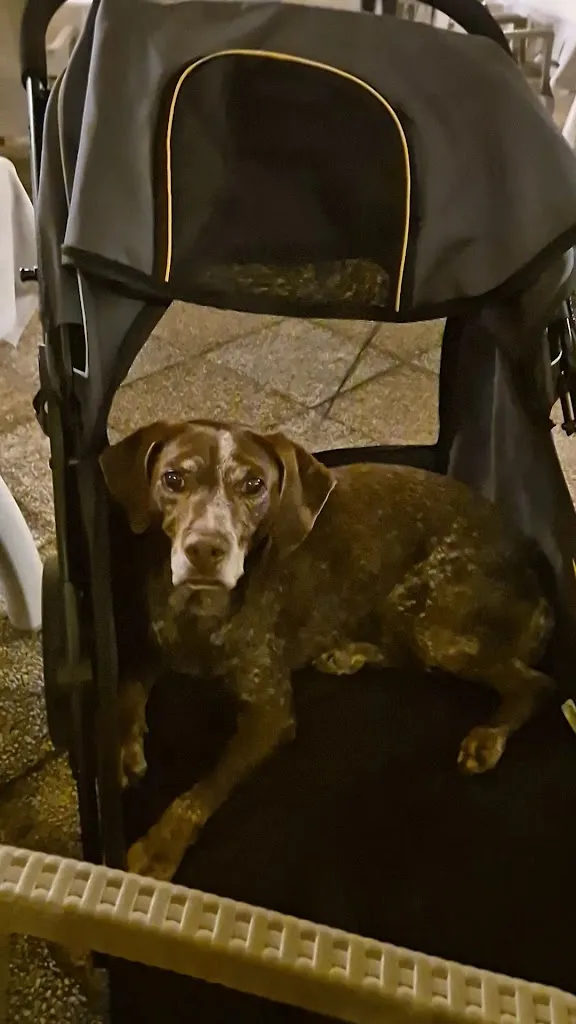 Ristorante La Costa_Arquà Petrarca_slider_image_2