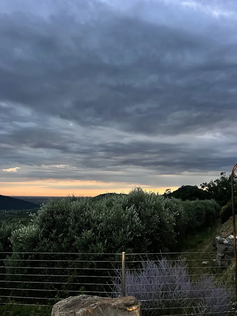 simone pavesio_OLIVOBIANCO - Home Restaurant_Arquà Petrarca_review