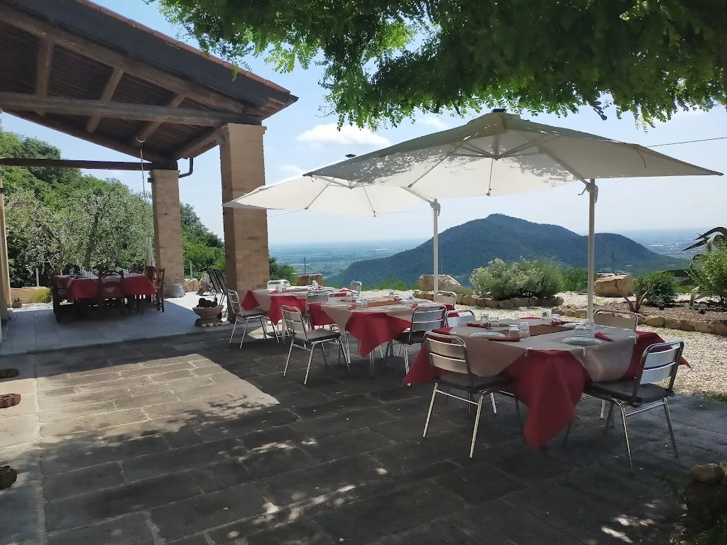 OLIVOBIANCO - Home Restaurant_Arquà Petrarca_slider_image_1