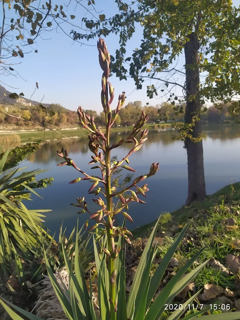 Barbara M_A.S.D. Lago Delle Rose_Arquà Petrarca_review
