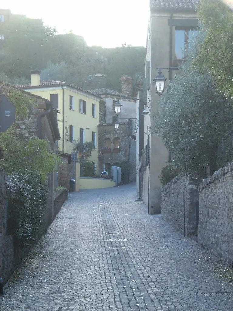 Arquata Sas di Sabrina Saviolo e C._Arquà Petrarca_slider_image_2