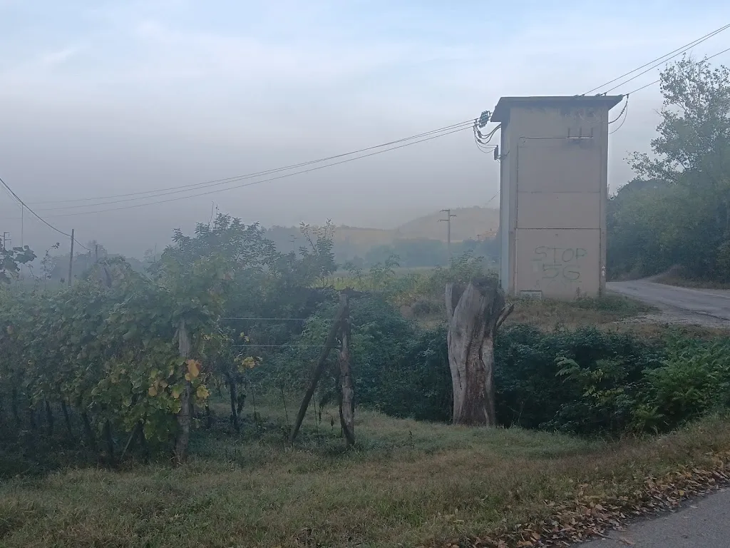 Nicolas Perazolo_Locanda-Trattoria Al Rio_Arquà Petrarca_review