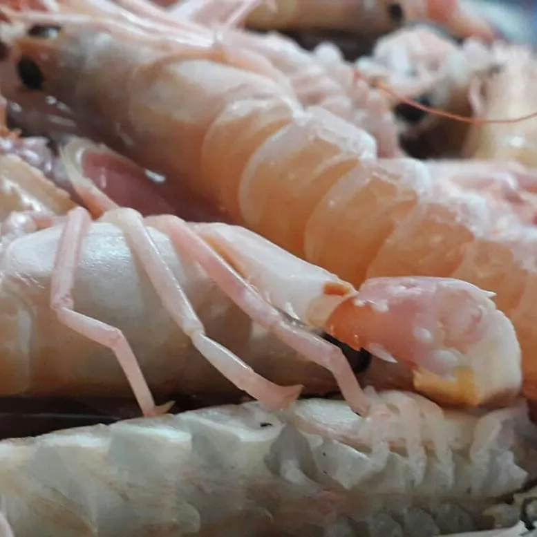 Menu_Take Away Da Vittoria_Orta Nova_image_9