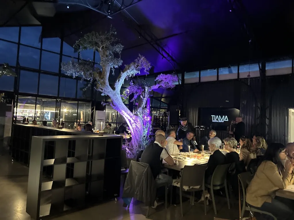 TiAma Cocktail Bistrot restaurant in Arlesega