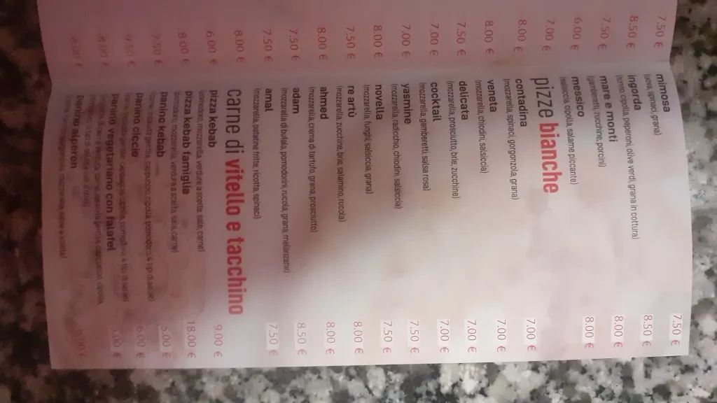 Menu_Ciccio kebab mestrino_Arlesega_immagine_1