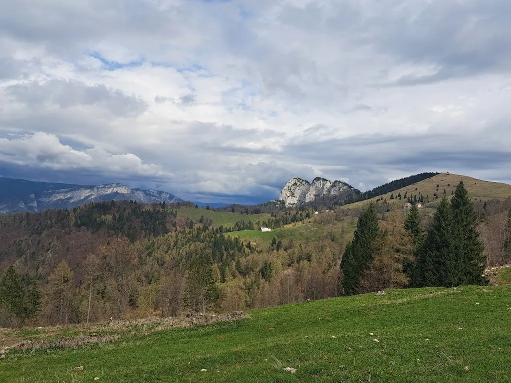 Malga Melegnon_Arsiero_slider_image_3