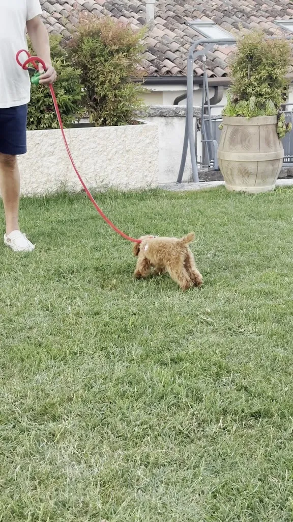 Olessia Stavska_Trattoria Monte San Piero_Badia Calavena_review