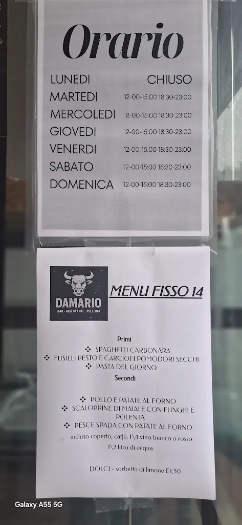 Menu_DAMARIO Bar Ristorante Pizzeria_Badia Polesine_image_1