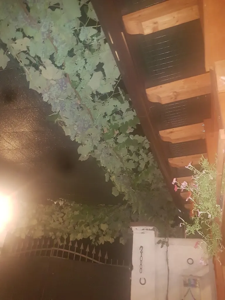 SABRINA ZOPPELLARO_Pizzeria Wanted Saloon_Badia Polesine_review