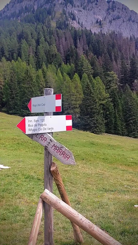 Sonja Leskovar_Agriturismo Malga Maraia_Auronzo_review