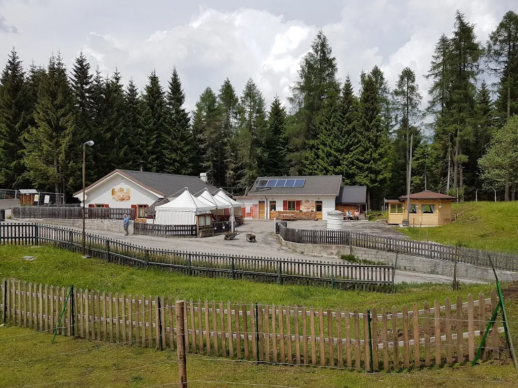 Farmhouse Ai Lares Soc. Semplice Agricola_Auronzo_slider_image_3