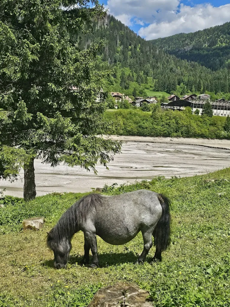 Jon Martin_Agriturismo Al Tabià_Auronzo_review