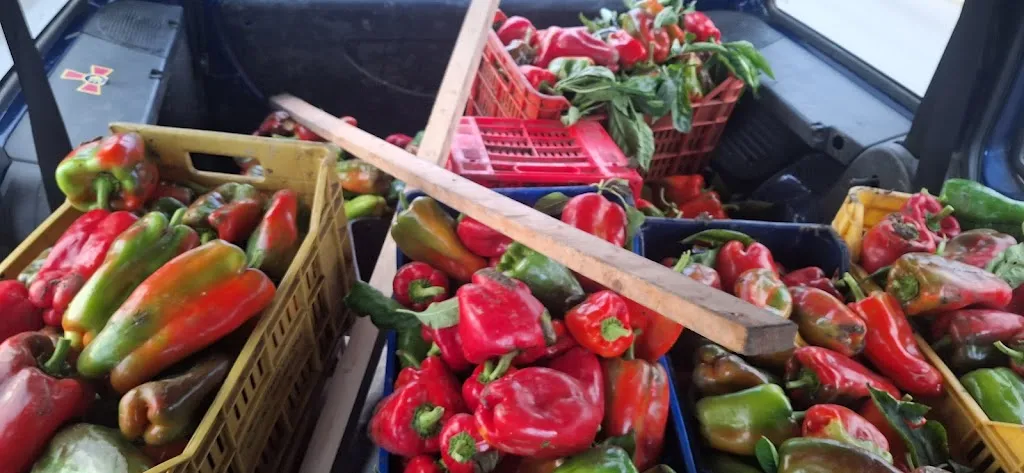 Menu_Villa Giuliani Agriturismo Resort_Orta Nova_image_6