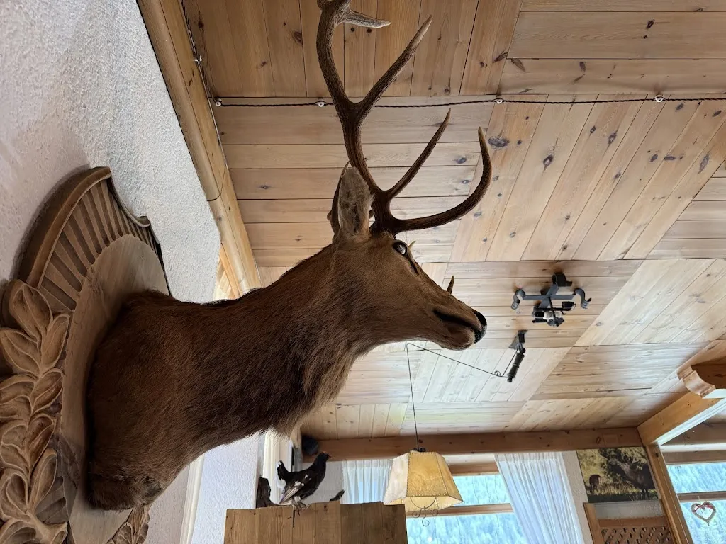 James Hwang_Pizzeria Edelweiss_Auronzo_review