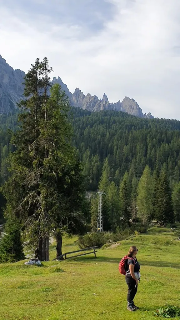La Stube - La Biblioteca - Malga Rin Bianco_Auronzo_slider_image_2