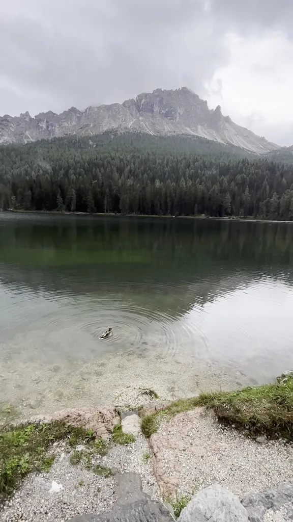 Mira M. Youssef_Bar Da Dino_Auronzo_review