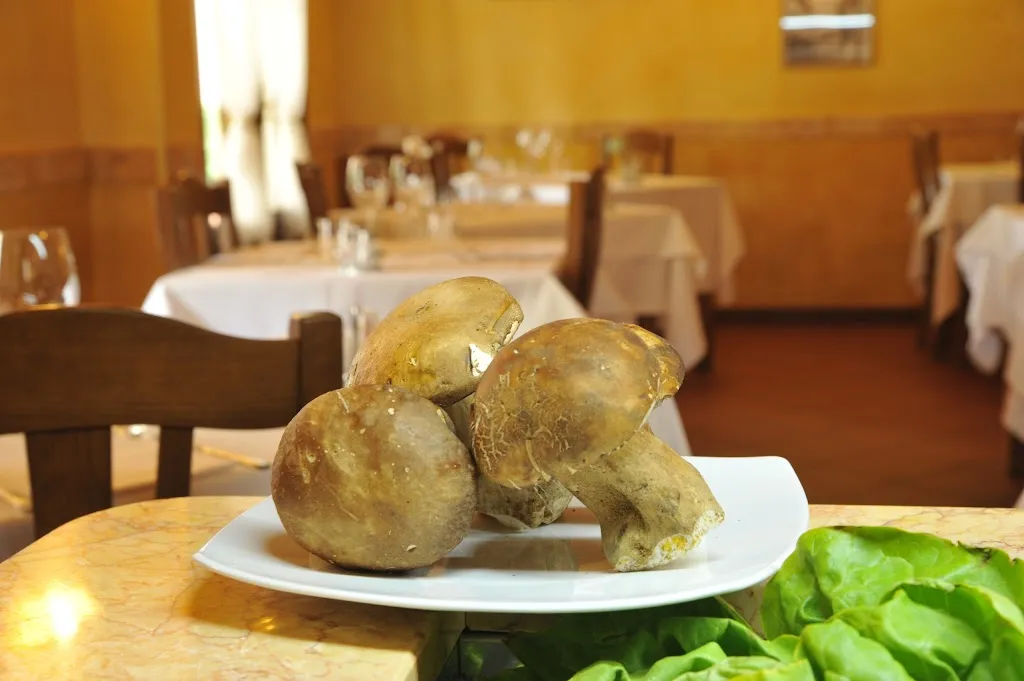 Ristorante Trattoria da Probo_Bagnolo_slider_image_3