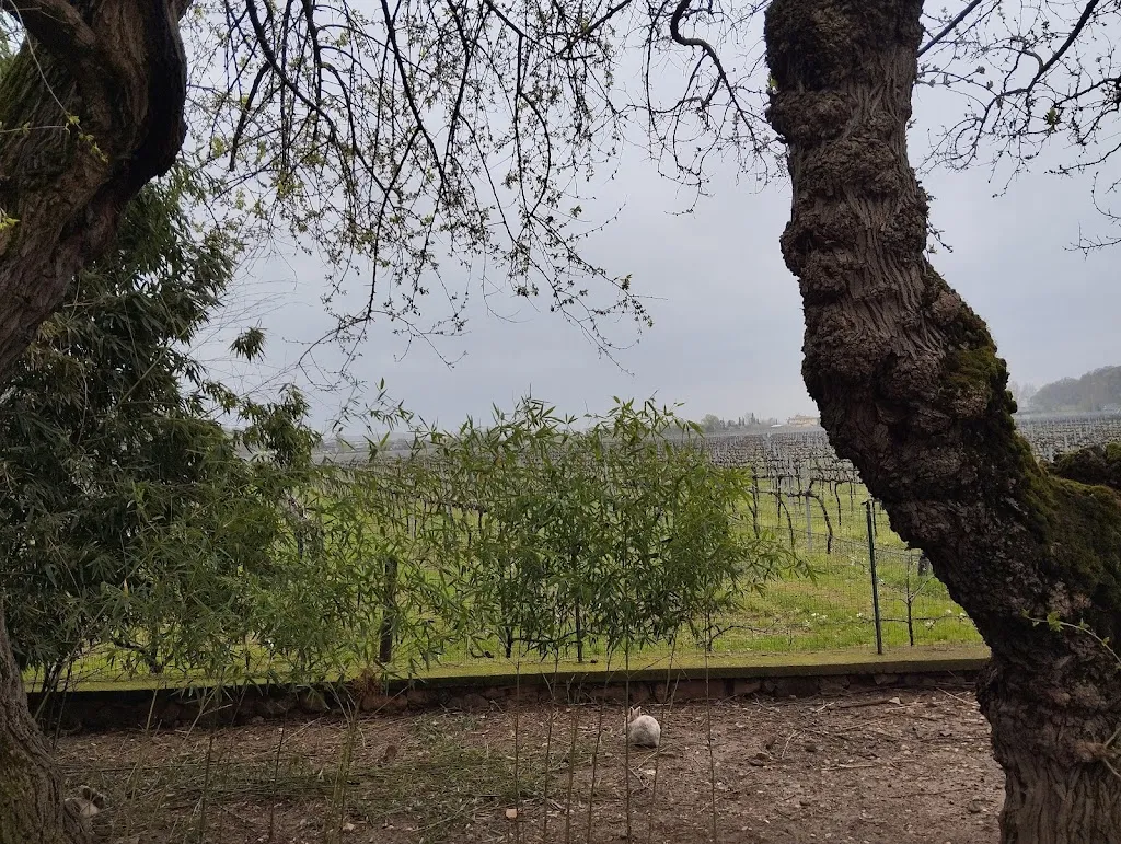 Terence De Michele_Agriturismo Canova_Barbarano Vicentino_recensione